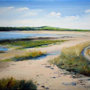 Shore Walk at Brighouse Bay